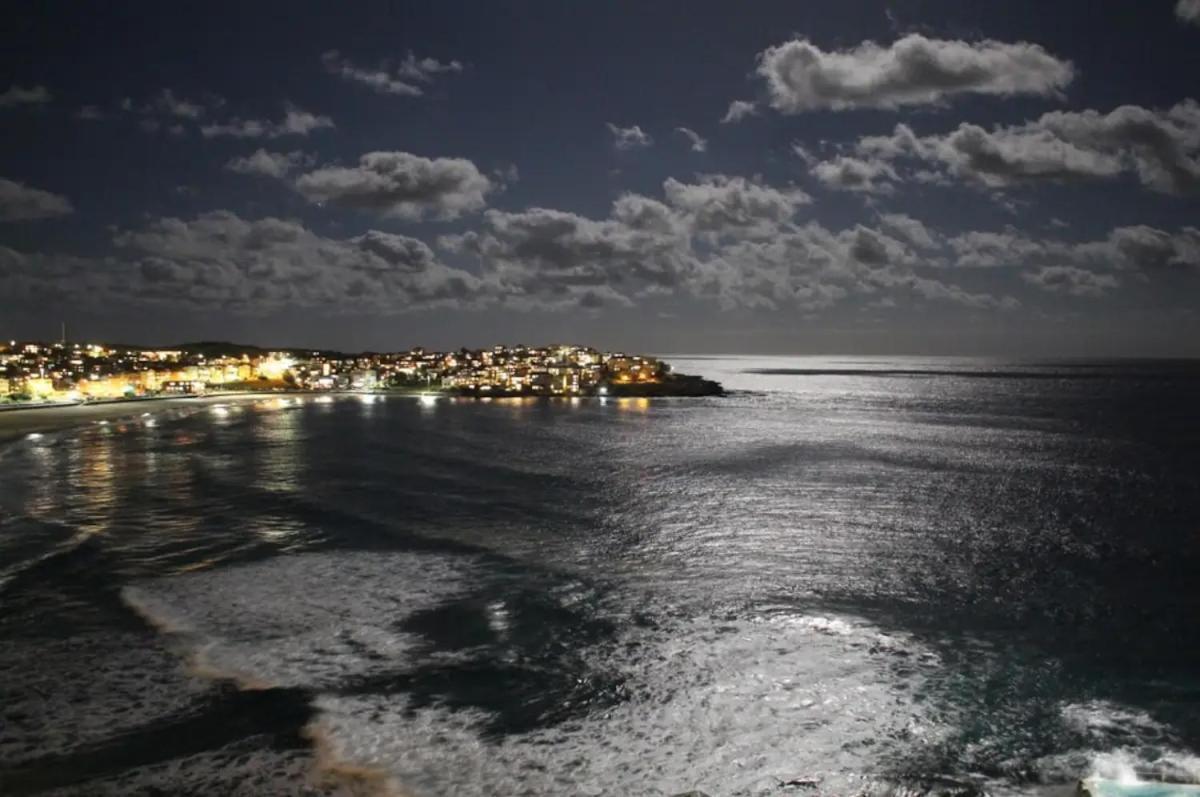 Studio Bondi Beach Sydney Esterno foto